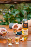 Combo de Bebida Mista de Banana e Licor de Leite e Maracujá